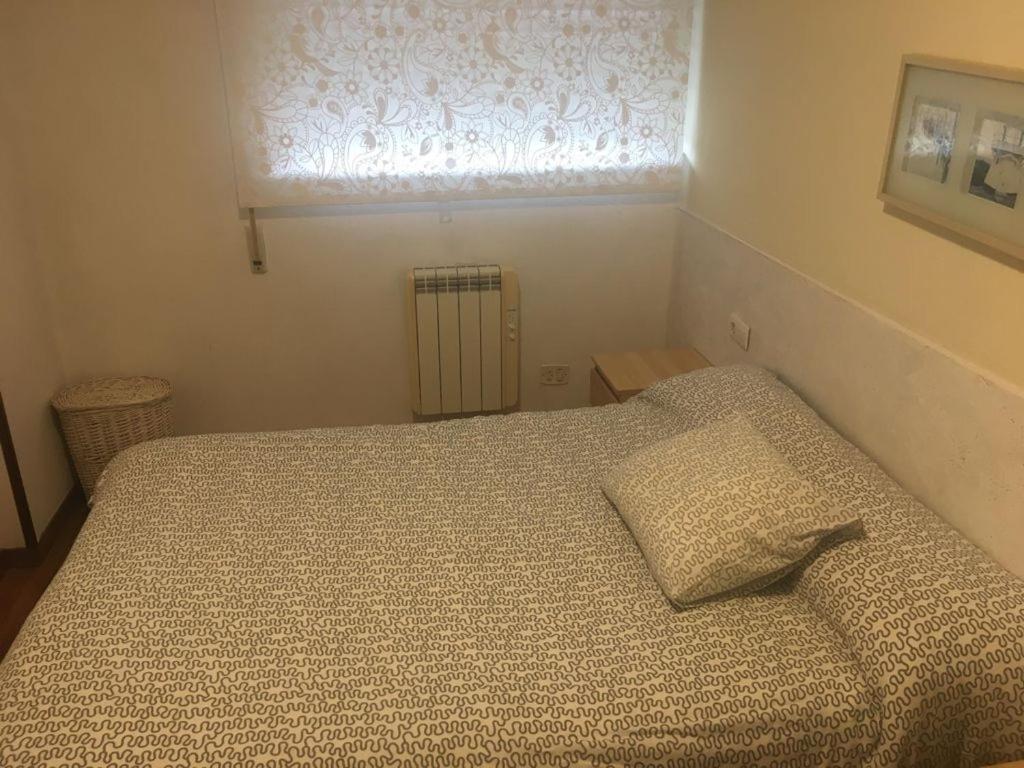 Apartamento Vacacional Do Pexigo サンティアゴ・デ・コンポステーラ エクステリア 写真